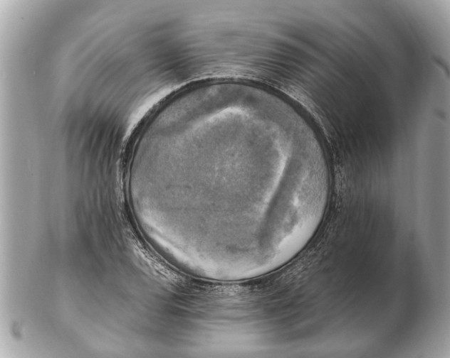 X0000102521120200808291750