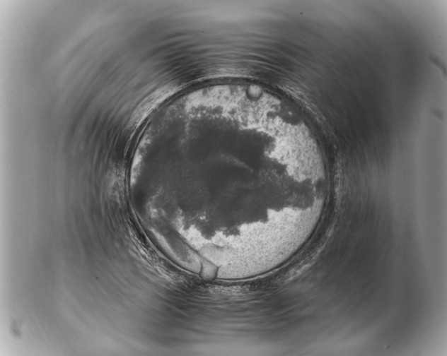 X0000102521121200808291751