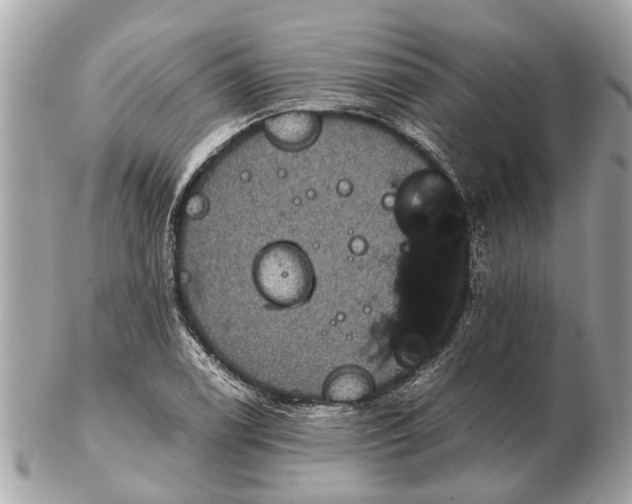 X0000102521122200808291751