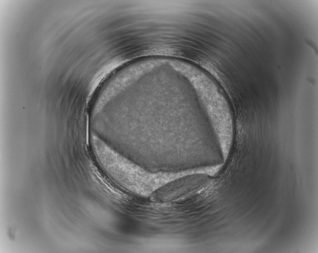 X0000102521123200808291751