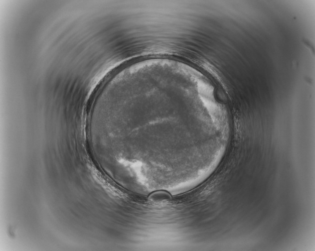 X0000102521124200808291751