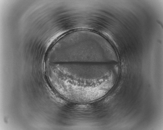 X0000102521125200808291751