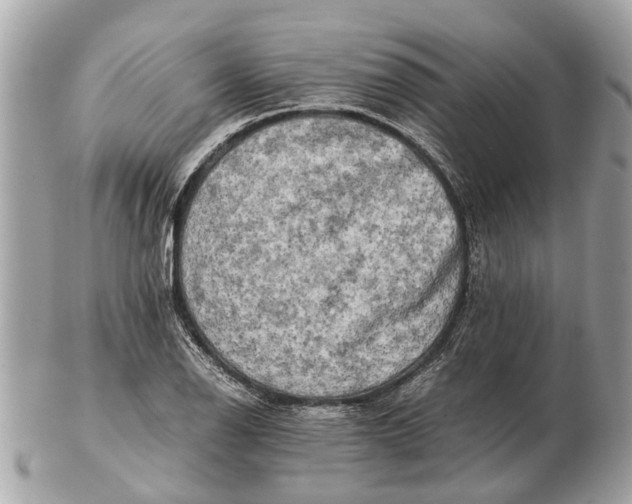 X0000102521126200808291751