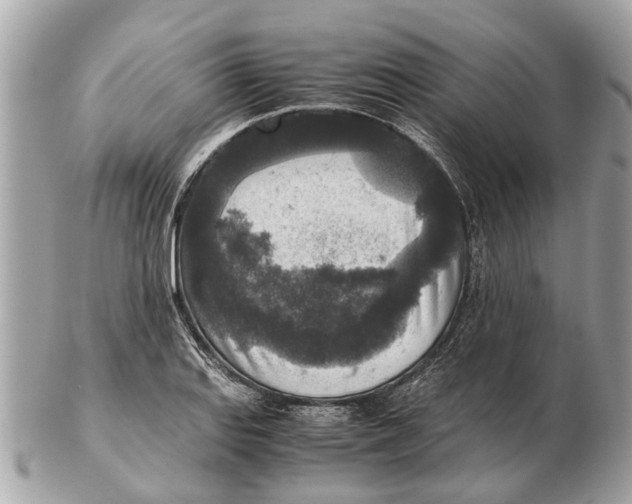 X0000102521127200808291751