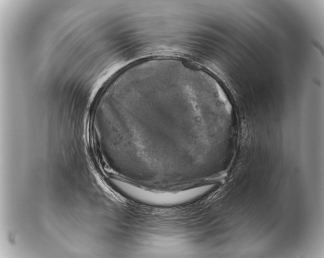 X0000102521128200808291751