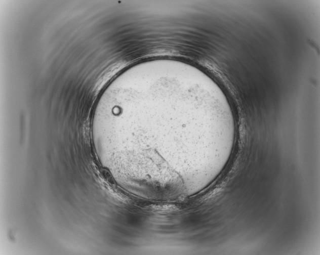 X0000102521129200808291751