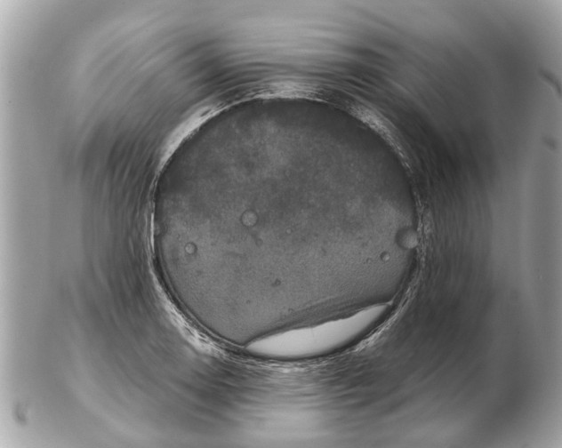 X0000102521130200808291751