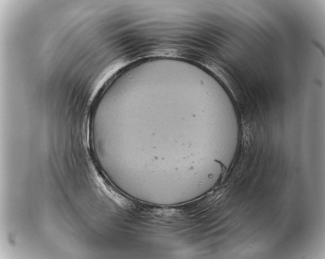 X0000102521131200808291751