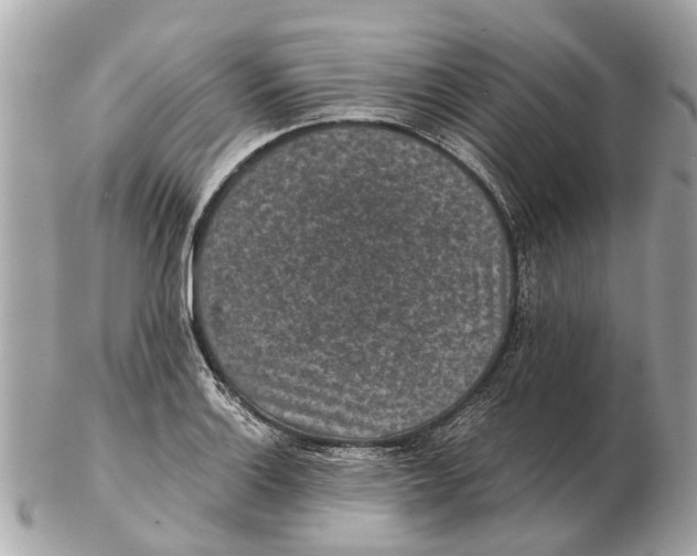 X0000102521132200808291751