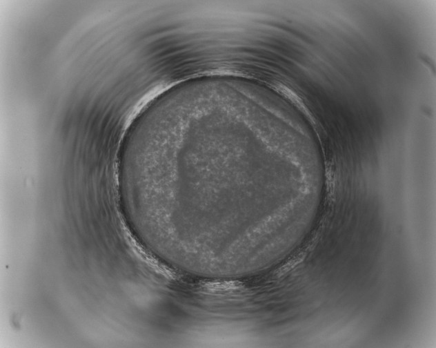 X0000102521133200808291751