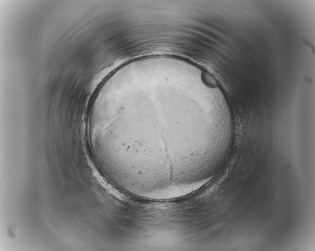 X0000102521134200808291751