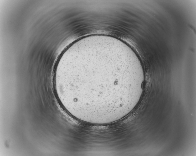 X0000102521135200808291751