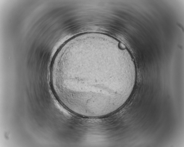 X0000102521136200808291751