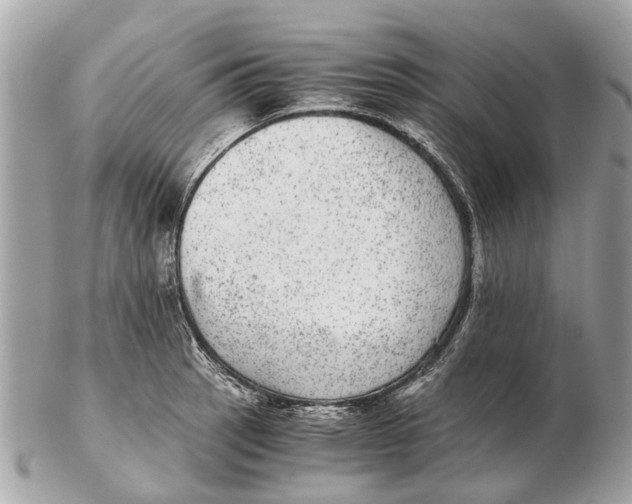 X0000102521137200808291751