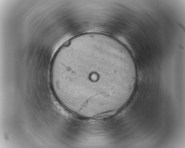 X0000102521138200808291751