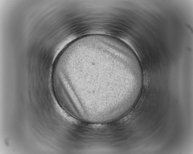 X0000102521139200808291751