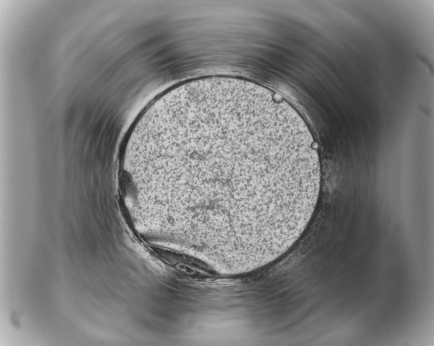 X0000102521140200808291751