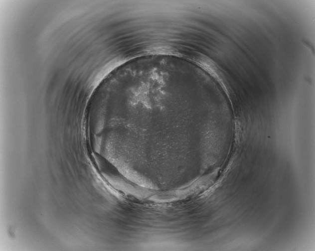 X0000102521141200808291751