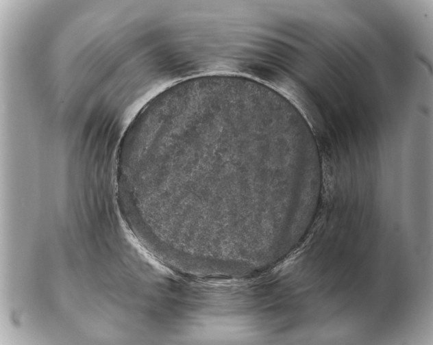 X0000102521142200808291751