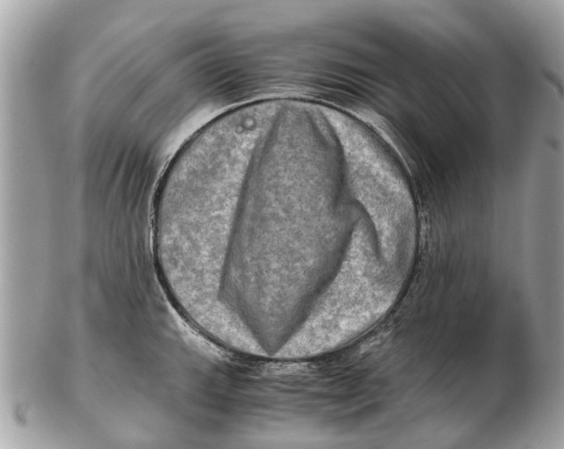 X0000102521143200808291751