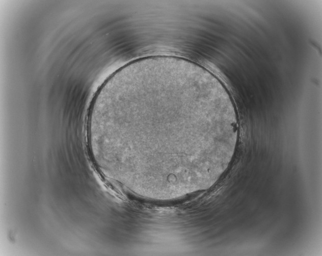 X0000102521144200808291751