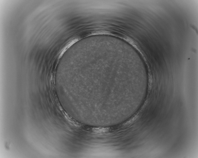 X0000102521145200808291751