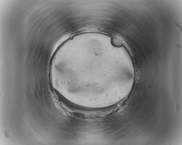 X0000102521146200808291751