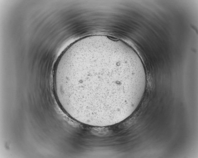 X0000102521147200808291751