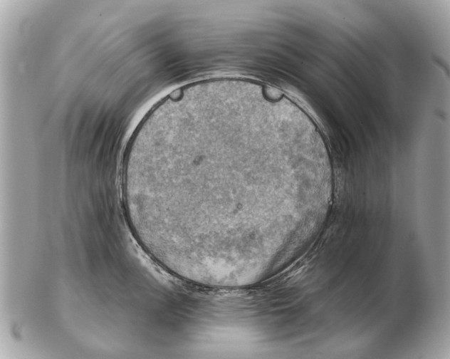 X0000102521148200808291751