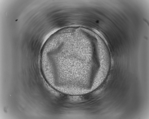 X0000102521149200808291751