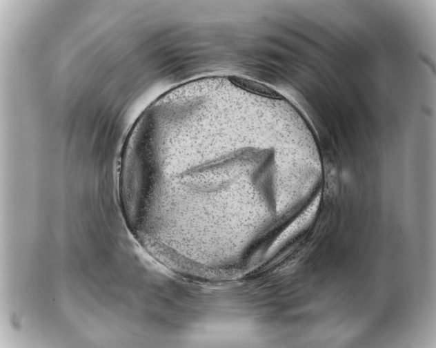 X0000102521151200808291751