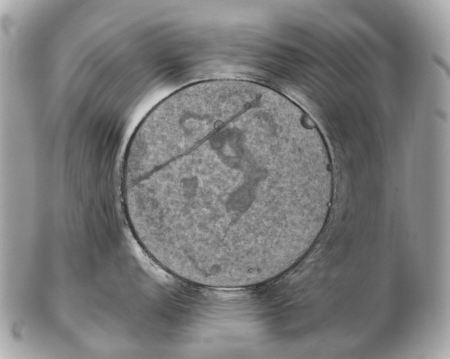 X0000102521152200808291751