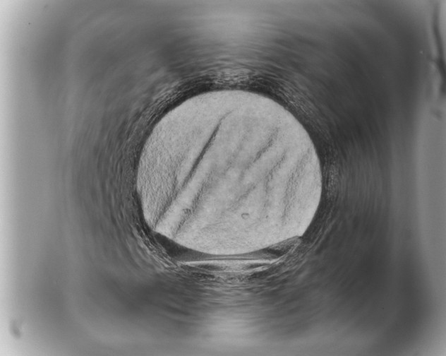 X0000102521153200808291750