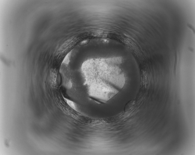 X0000102521154200808291750