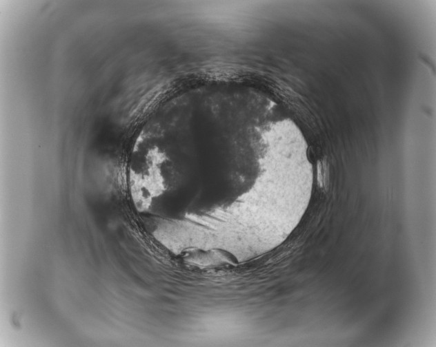 X0000102521155200808291750