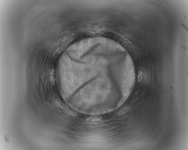 X0000102521156200808291750