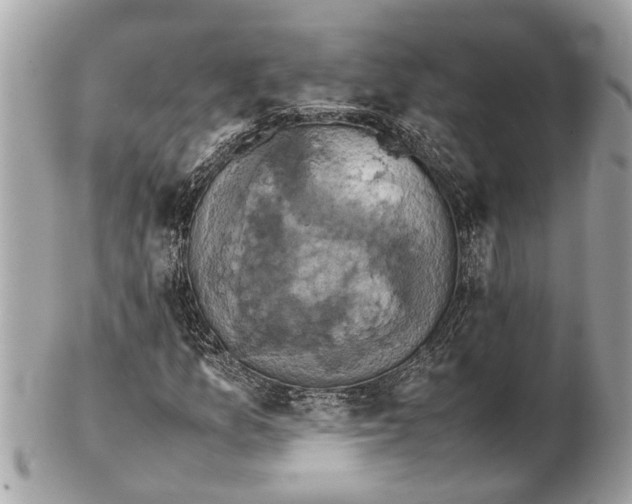 X0000102521157200808291750