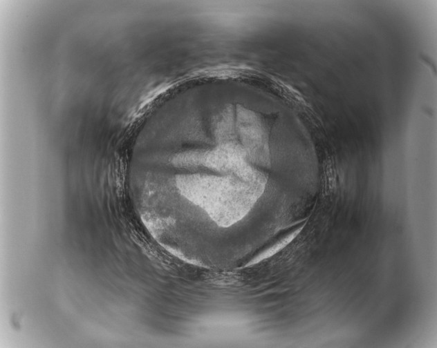 X0000102521158200808291750