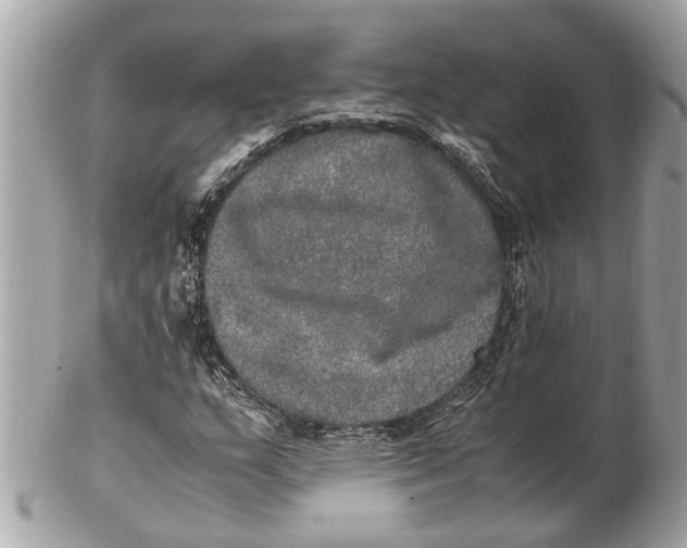 X0000102521159200808291750