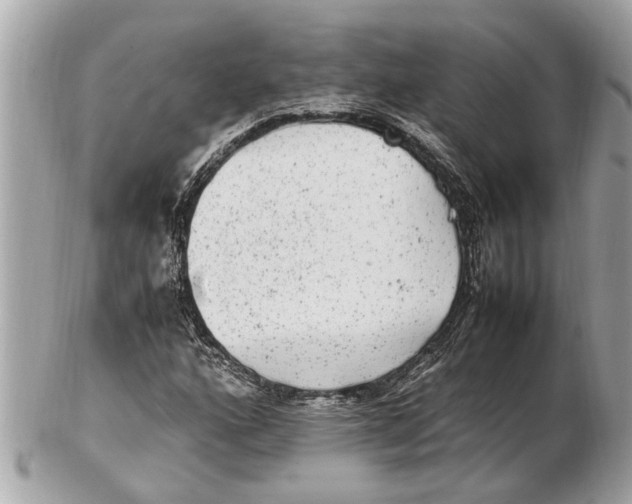 X0000102521160200808291750