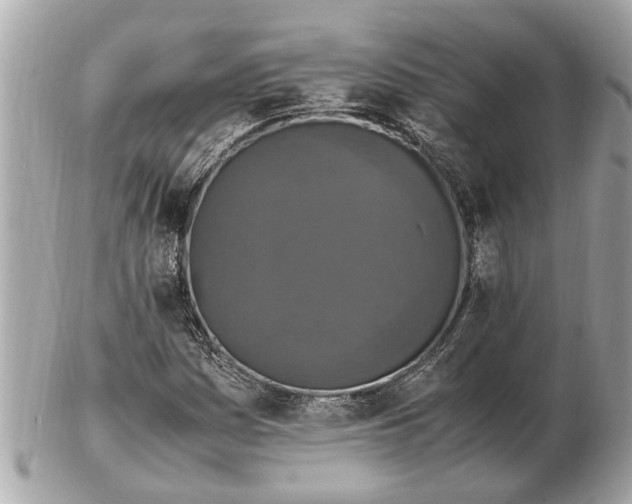 X0000102521161200808291750