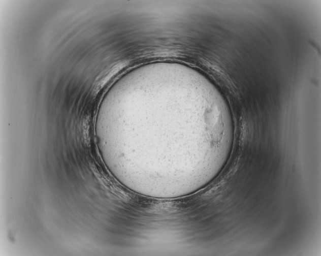 X0000102521162200808291750