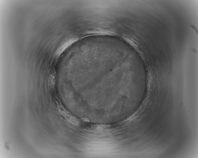 X0000102521163200808291750