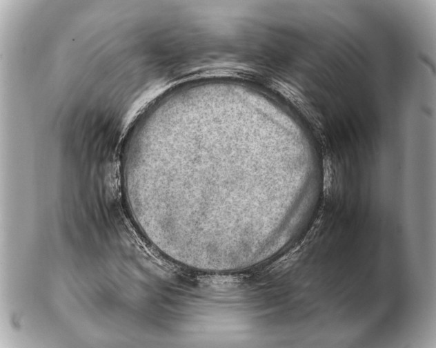 X0000102521164200808291750