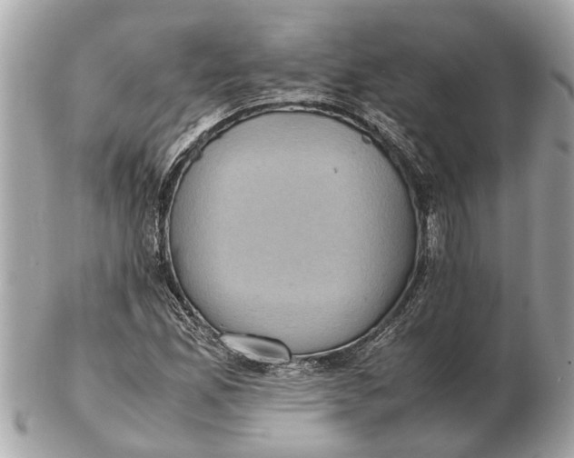 X0000102521165200808291750