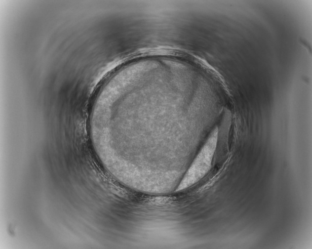 X0000102521166200808291750