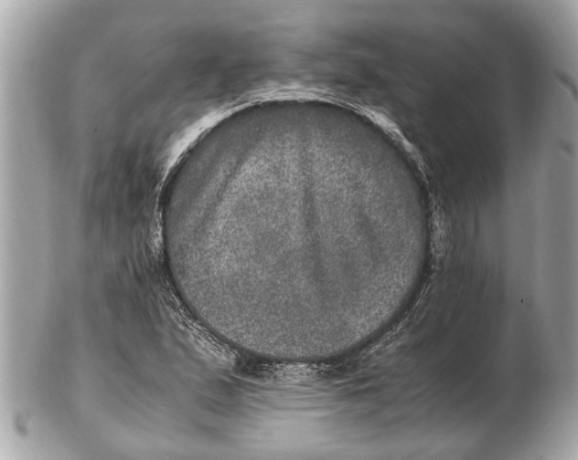 X0000102521167200808291750