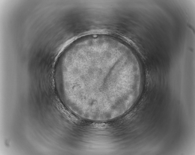 X0000102521168200808291750