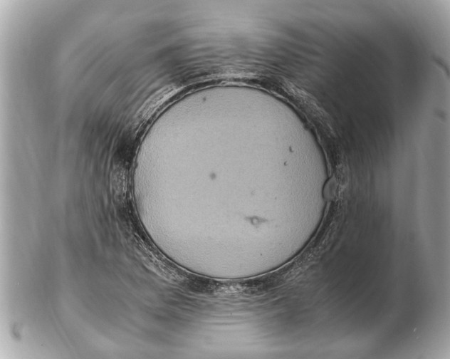 X0000102521169200808291750