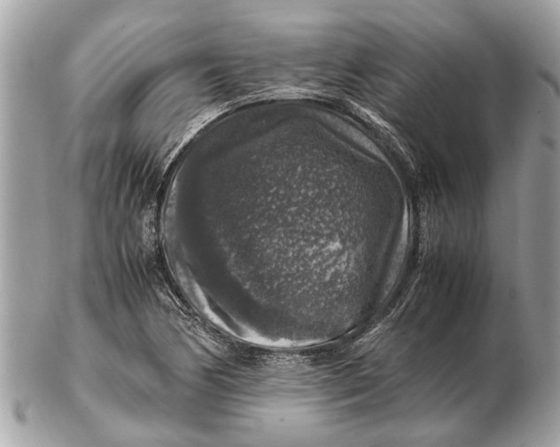 X0000102521170200808291750